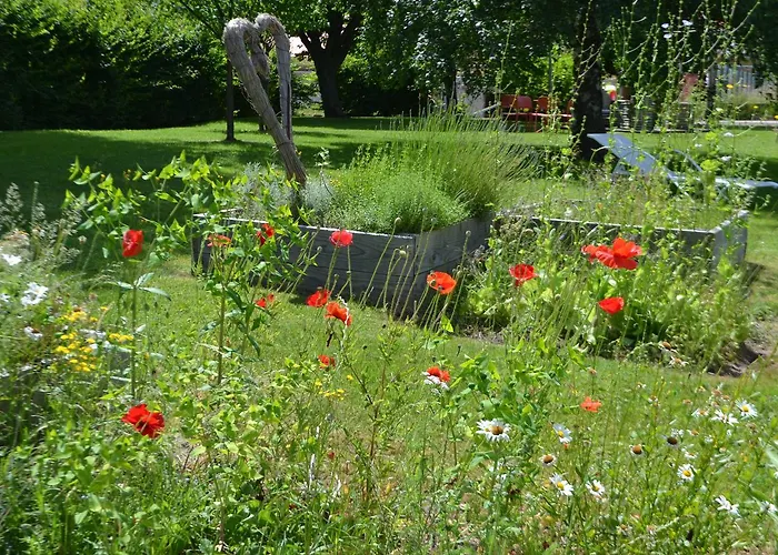 Hotel Logis Restaurant & La Rochette Labaroche